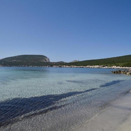 Pischina Salida-Villetta Pavoncelle Alghero Esterno foto
